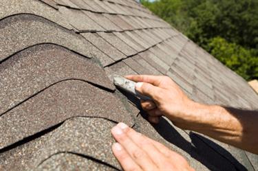Shingle roof in Dania Beach, FL